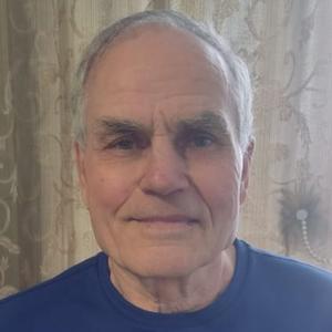 Владимир, 73 года, Курган