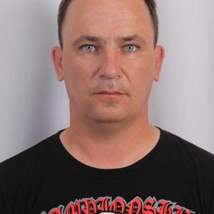 Михаил, 51 год, Лангепас