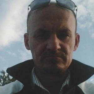 Андрей Султанов, 53 года, Подольск