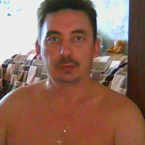 Вячеслав Николаев, 51 год, Воскресенск