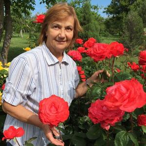 Валентина, 76 лет, Анапа