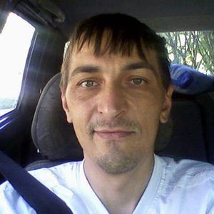 Александр, 51 год, Череповец
