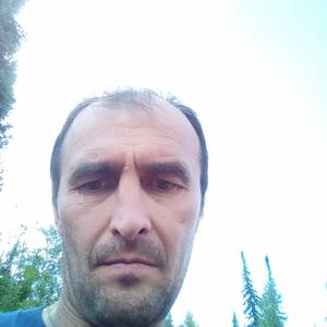 Андрей, 43 года, Дивногорск