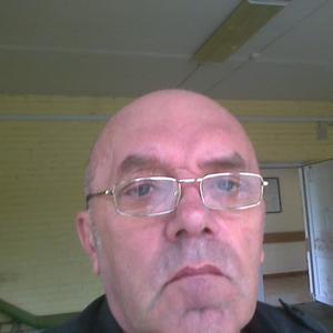 Вадим Хорошев, 71 год, Гатчина