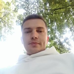 Алексей, 36 лет, Подольск
