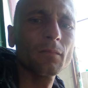 Nicolae, 39 лет, Chisineu-Cris