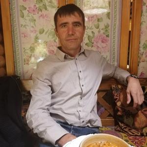 Анатолий, 47 лет, Пермь