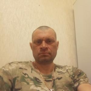 Дмитрий, 44 года, Людиново
