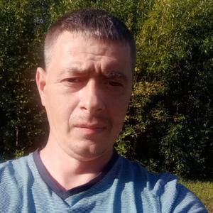 Серёжа, 37 лет, Архангельск