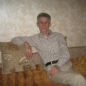 Владимир, 68 лет, Липецк