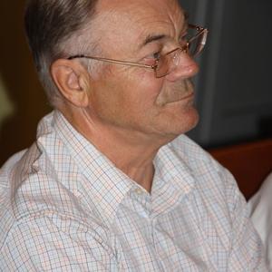 Владимир, 77 лет, Гатчина