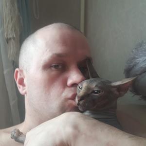 Виталий, 36 лет, Мытищи