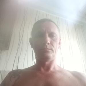 Игорь, 43 года, Железногорск