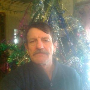 Николай Терешин, 67 лет, Галич