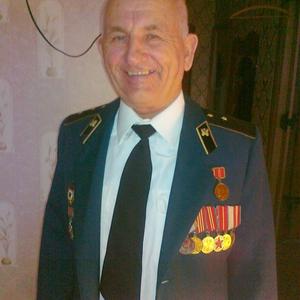 Михаил Напряжной, 77 лет, Москва