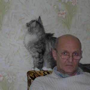 Александр, 72 года, Кирово-Чепецк