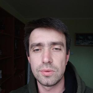 Александр, 36 лет, Кировск