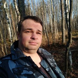 Леонид, 42 года, Архангельск
