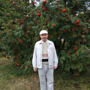 Парни в Уфе (Башкортостан): Рашит, 69 - ищет девушку из Уфы (Башкортостан)