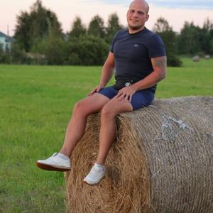 Клоков Илья, 33 года, Парголово